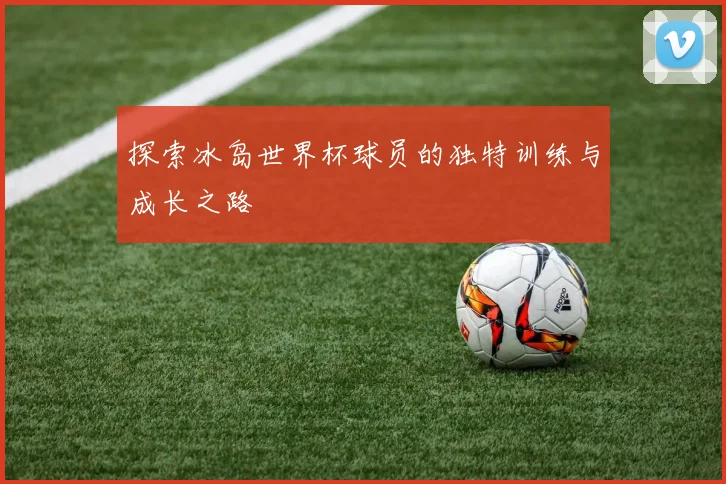 探索冰岛世界杯球员的独特训练与成长之路