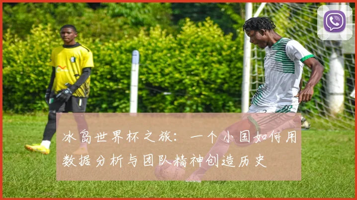冰岛世界杯之旅：一个小国如何用数据分析与团队精神创造历史