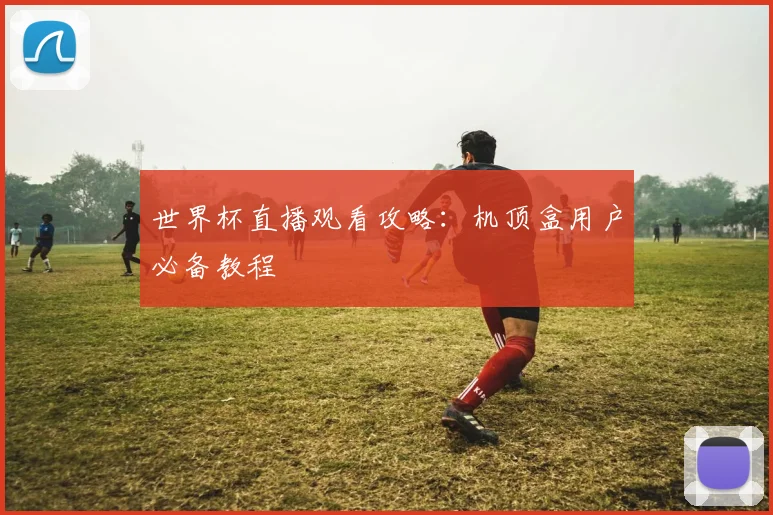 世界杯直播观看攻略：机顶盒用户必备教程
