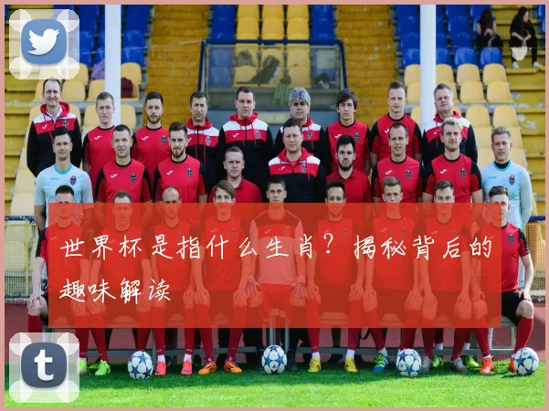 世界杯是指什么生肖？揭秘背后的趣味解读