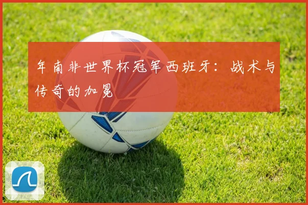 年南非世界杯冠军西班牙：战术与传奇的加冕