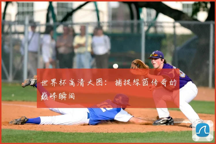 世界杯高清大图:捕捉绿茵传奇的巅峰瞬间