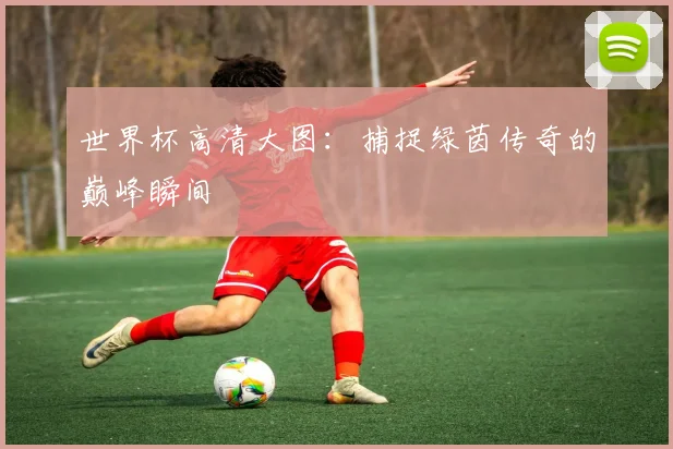 世界杯高清大图:捕捉绿茵传奇的巅峰瞬间